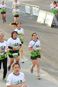 BIB: 114
                            <button type="button" onclick="openModal(3537483)" class="btn btn-primary btn-sm float-right btn-popup" data-toggle="modal" data-target=".modal-high-quality">
                        <i class="fas fa-shopping-cart"></i> Add to Cart
                    </button>
                                            <button type="button" onclick="isThisMe(3537483, true)" class="btn btn-success btn-sm float-right btn-popup btn-isme hidden" data-toggle="tooltip" data-placement="bottom" title="นี่คือรูปของคุณใช่ไหม คลิกที่นี่เพื่อเอาเข้าอัลบั้ม">
                        <i class="fas fa-plus"></i> Add to album
                    </button>
                    <button type="button" onclick="isThisMe(3537483, false)" class="btn btn-warning btn-sm float-right btn-popup btn-isnotme hidden">
                        <i class="fas fa-ban"></i> Remove from album
                    </button>